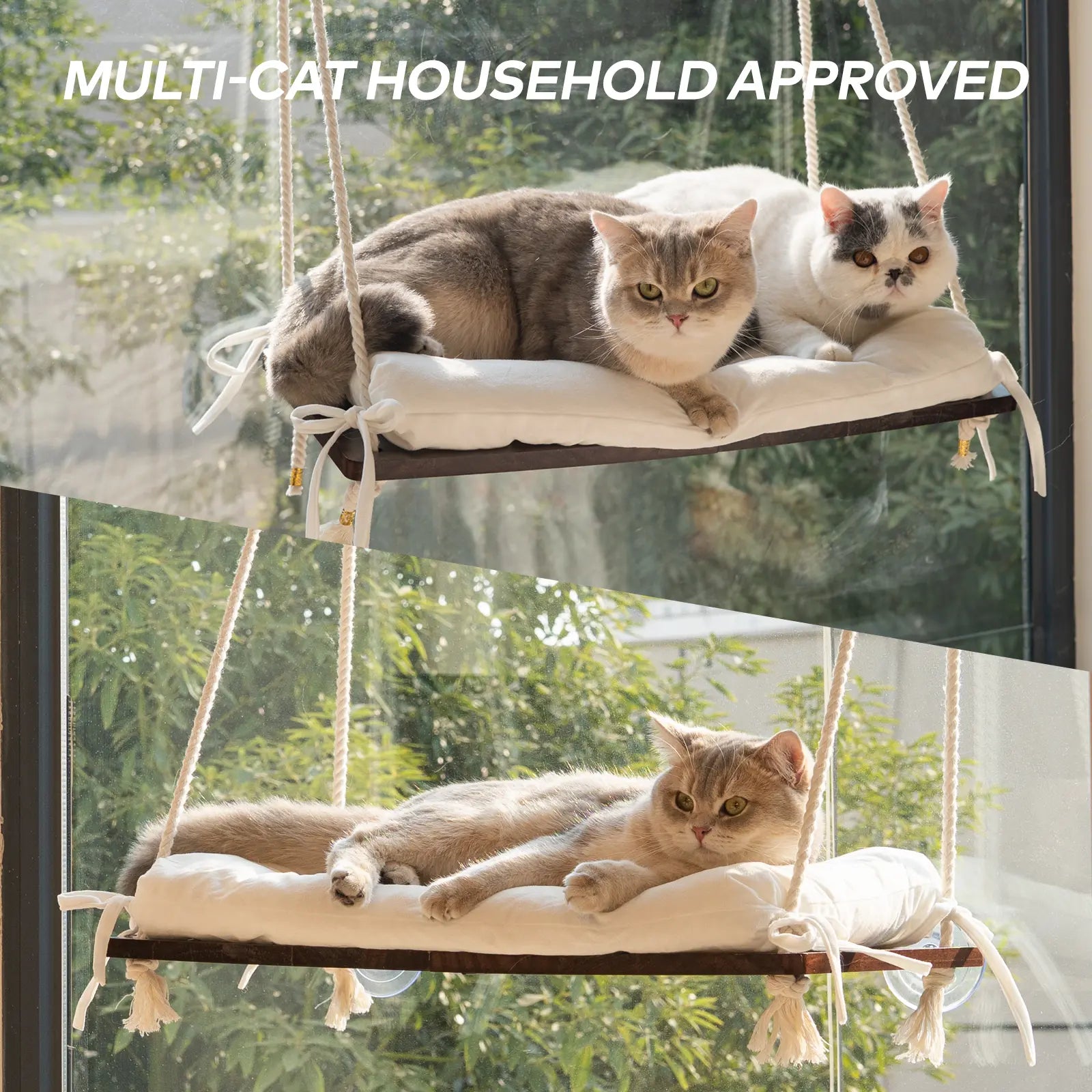 Solid Wood Cat Window Perch with Removable Machine Washable Cushion and Strong Suction Cups for Cats and Small Dogs