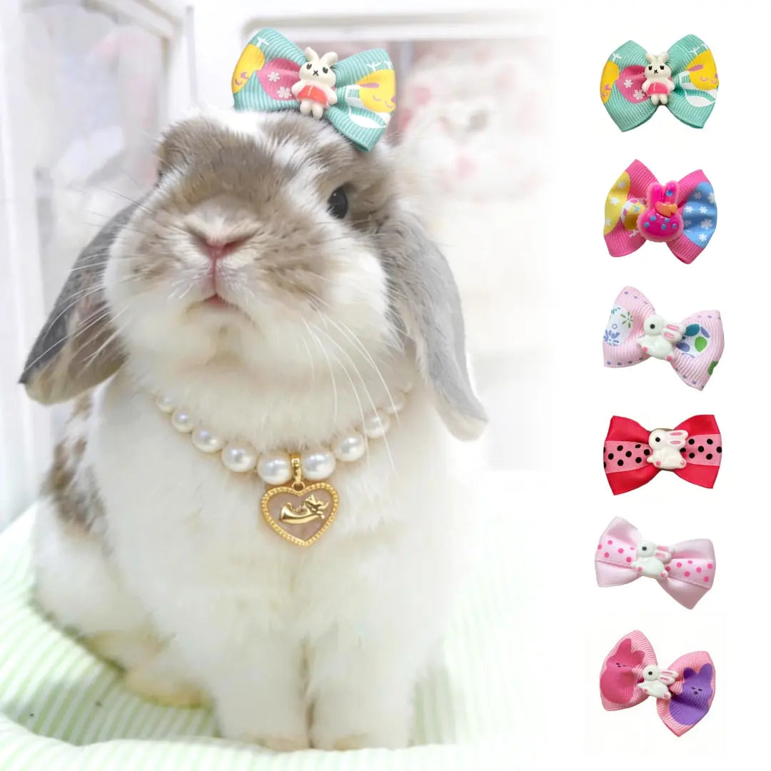 6-Piece Colorful Bunny Hair Bow Clips for Small Pets - Ideal for Dress-Up and Photography