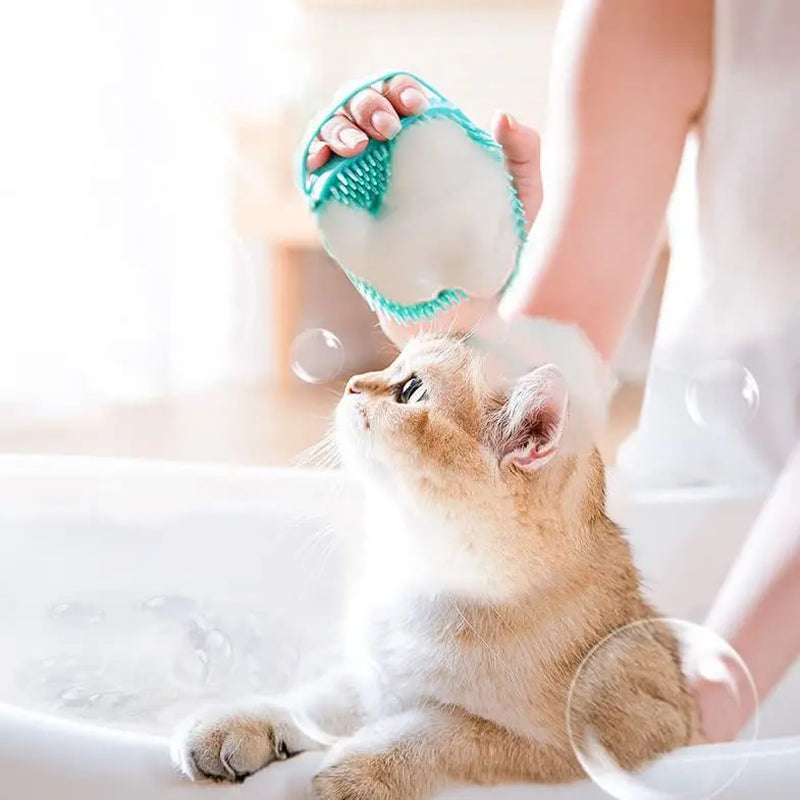 Professional Pet Grooming Brush for Detangling, Fluffing, and Loose Hair Removal with Detachable Head for Easy Cleaning in Shower or Bathtub