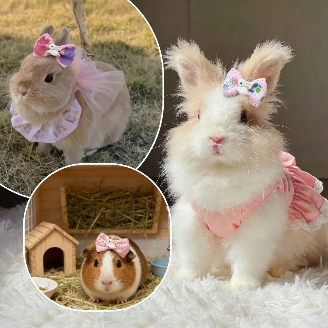 6-Piece Colorful Bunny Hair Bow Clips for Small Pets - Ideal for Dress-Up and Photography