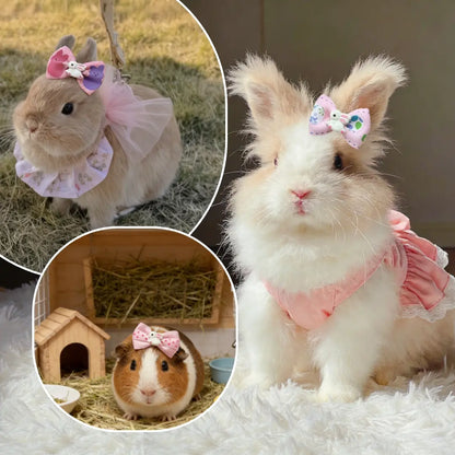 6-Piece Colorful Bunny Hair Bow Clips for Small Pets - Ideal for Dress-Up and Photography