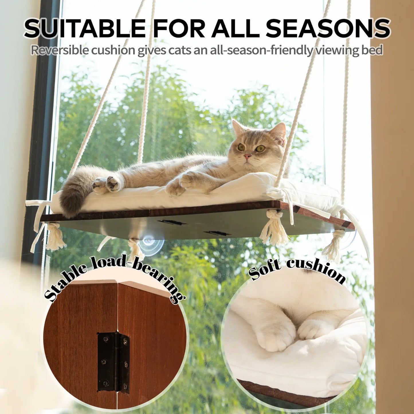 Solid Wood Cat Window Perch with Removable Machine Washable Cushion and Strong Suction Cups for Cats and Small Dogs